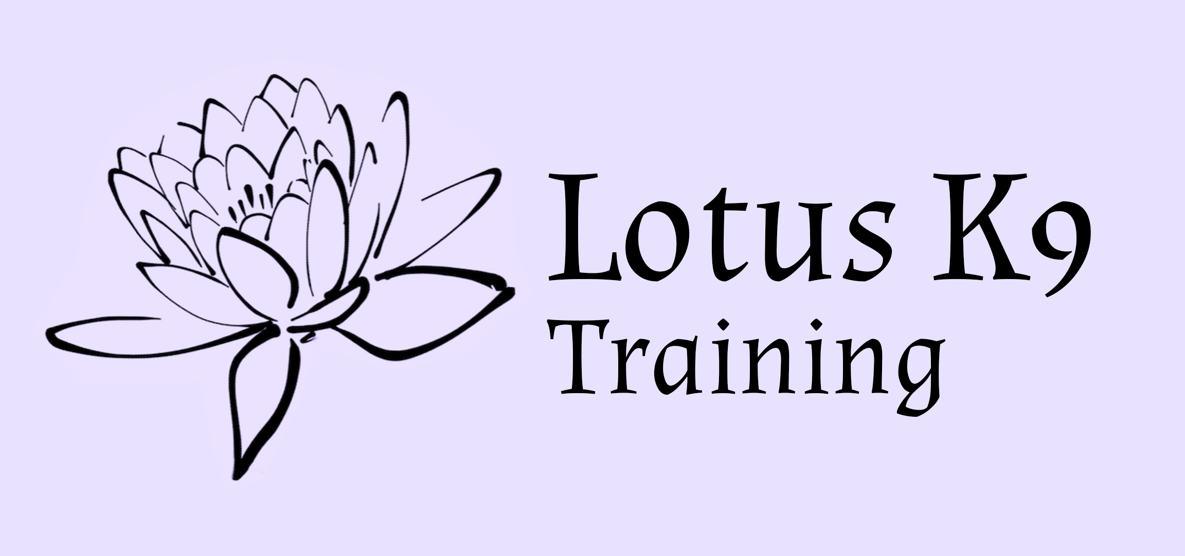 dog-walking-training-boarding-in-colchester-essex-lotus-k9-training